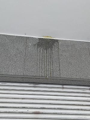花蓮男與兄政治口角　蛋砸民進黨部遭送辦