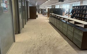 高雄大東圖書館女子失控！持滅火器狂噴 一查竟是通緝犯