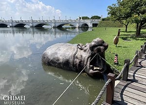 颱風天阿嬤幫拔牙！台南奇美博物館河馬雕塑加固畫面曝光 網友全笑翻