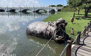 颱風天阿嬤幫拔牙！台南奇美博物館河馬雕塑加固畫面曝光 網友全笑翻