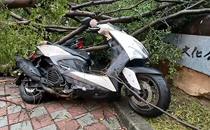 台中多處路樹倒塌！西平公園7輛機車遭砸 警全天候待命