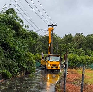 巴威強風釀多處停電！高雄、桃園約上萬戶受影響  台電仍在搶修中 