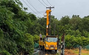 巴威強風釀多處停電！高雄、桃園約上萬戶受影響  台電仍在搶修中 