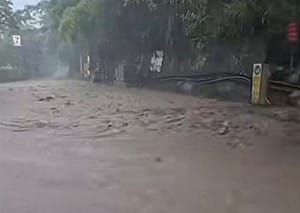 巴威豪雨釀災！苗栗泰安爆泥流封路  議員劉美蘭喊話：讓員工回家　