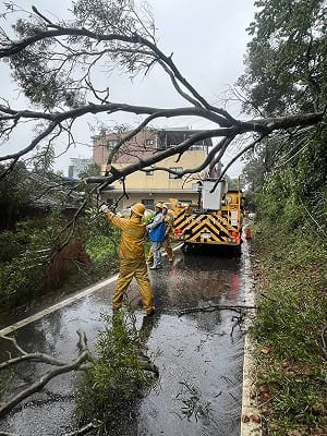 颱風巴威24萬戶停電　台電搶修逾95%復電