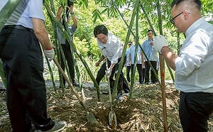 體驗挖竹筍 賴清德：老農津貼7月起每月可領1萬元