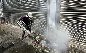 暑期境外移入登革熱風險拉警報　高雄單日新增2確診個案