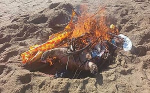 金門海漂豬屍驗出非洲豬瘟！海巡署提高查船、貨櫃與包裹攔檢密度