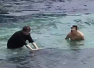 小琉球海龜遭遊客騷擾觸摸！海巡火速逮2嫌 最重開罰30萬