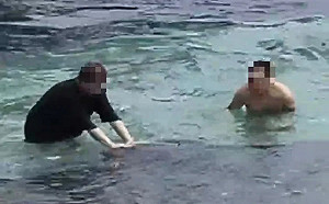 小琉球海龜遭遊客騷擾觸摸！海巡火速逮2嫌 最重開罰30萬