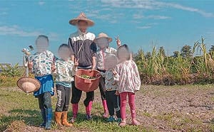 高雄網紅5寶媽丟摔女嬰、悶臉！上訴三審遭駁回 判刑2年定讞