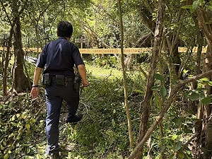 高雄都會公園旁樹叢發現人類骨骸　警比對失蹤人口