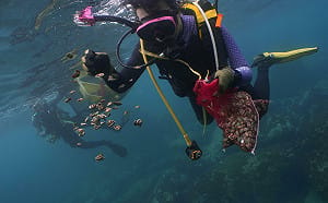 漁獲量12年慘跌40%！新北漁業處擴大保育區 海岸線外3海浬納管