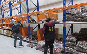 今年首度驗出！日本片裝香菇微量輻射 食藥署：建議業者退關