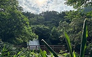 黃金山城新玩法！金瓜石2大遊程 一次體驗淘金、礦山故事
