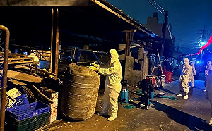 台中非洲豬瘟陳姓豬農父子被判刑！獸醫紀又銘：市府應做好把關與輔導