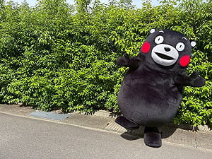7.1強震後！ 熊本熊暫停活動  為賑災調版權使用 十年前也有類似舉動...