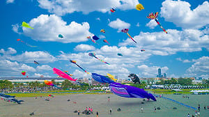 2026旗津風箏節登場   35米鯨魚領銜翱翔天際
