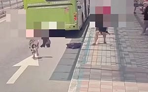 北車驚傳暴力事件！台男追打菲籍女遊客 美籍男霸氣壓制