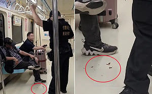 阿伯捷運內嚼檳榔還隨地吐渣！網轟：素質跟渣一樣 北捷將開罰