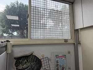 犬隻墜樓亡　飼主遭新北動保罰1.5萬元