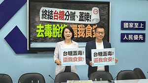揭台糖董事都是賴潘子弟兵 王鴻薇：不是「好寶寶」是「綠寶寶」