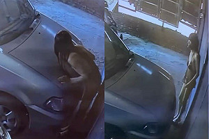 高雄驚現薄紗男行跡詭異趴車上！住戶嚇壞PO文：是有什麼心事嗎？