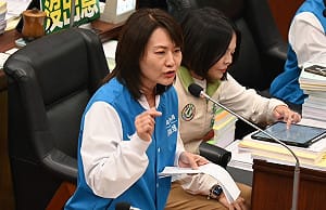 接國民黨發言人砲打菊系 陳麗娜：新潮流復辟非空穴來風