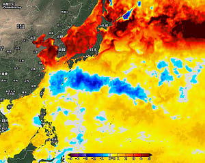 台灣東側驚現長條冷水坑！白海豚、巴威「留下同款陷阱」 影響後續颱風