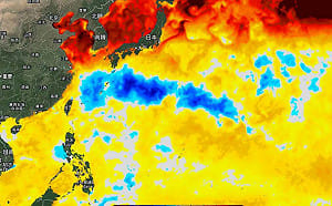 台灣東側驚現長條冷水坑！白海豚、巴威「留下同款陷阱」 影響後續颱風
