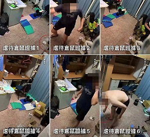 虐殺倉鼠案男大生順利畢業！再傳錄取名校研究所引熱議