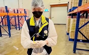 社會