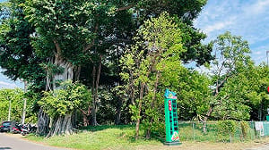 台南三崁店暑期導覽開放報名！深度探索糖廠歷史、文化與生態