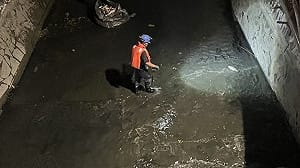 「水位降、溶氧低」釀魚群翻肚    高市水利局緊急打撈後勁溪、右昌排水