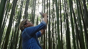 立院明馬拉松表決總預算！觀光署：經費若過 國旅補助8月登記、9月就可用