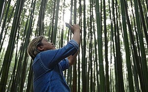 立院明馬拉松表決總預算！觀光署：經費若過 國旅補助8月登記、9月就可用