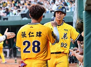 體育