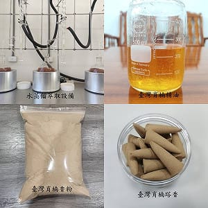 台灣肖楠木屑別急著丟！林試所出手「榨精油」剩料身價翻轉