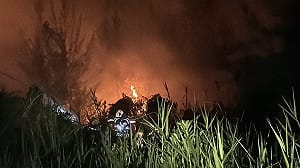 台東森林公園火警造成國家級濕地受損 環團籲評估國慶焰火風險