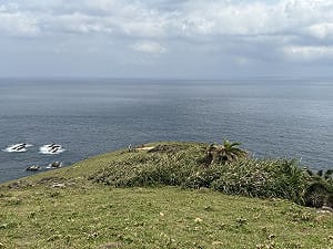 登山會領隊屏東滿州探勘遭虎頭蜂攻擊　2人OHCA、1人傷