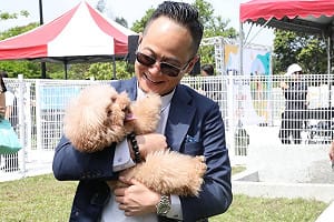 響應國際流浪動物日  童子瑋推四大寵物政見：打造毛小孩友善之城