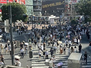 中國客大減56%日本觀光仍旺　台韓歐美旅客填補缺口
