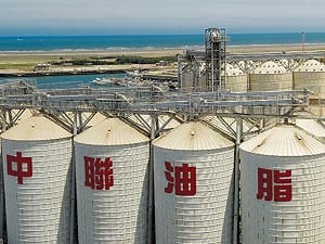 陳柏同觀點》 告別「巨嬰」與「台灣鯛」 才有韌性台灣