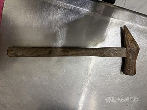 新北三重男鐵鎚猛擊流浪貓遭逮　最重恐面臨2年徒刑