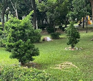 台中街頭驚現裸女！遭強制戒護送醫 涉妨害風化警要查了