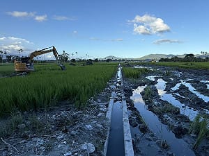 花蓮光復受災農地復耕難！行政院改採「徵收」為農民減免土增稅