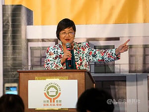 徐佳青：出訪爭議如「無劇本演練」　僑務工作更重要