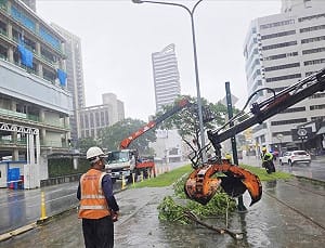 高雄豪雨釀災　傾倒路樹擦撞輕軌、仁武2起坍方