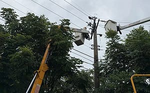 彰化豪雨樹倒意外壓電線！田中近2000戶突停電 台電冒雨搶修