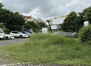 公務員回「鬼月不能除草」！彰化縣議員PO文引熱議 網：除草機怕鬼嗎？